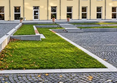 Rasenflächen mit Betonkanten eingefasst, dahinter Stufen und Pflasterbelag vor einem hellen Gebäude