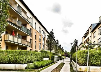 Wohnweg auf dem Siemensgelände mit geschnittenen Hecken auf Betoneinfassungen, jungen Straßenbäumen und einem Plattenweg