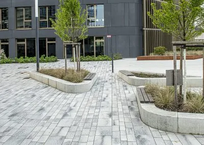 Robert-Arnold-Platz Köln Landschaftsbau Pflanzungen